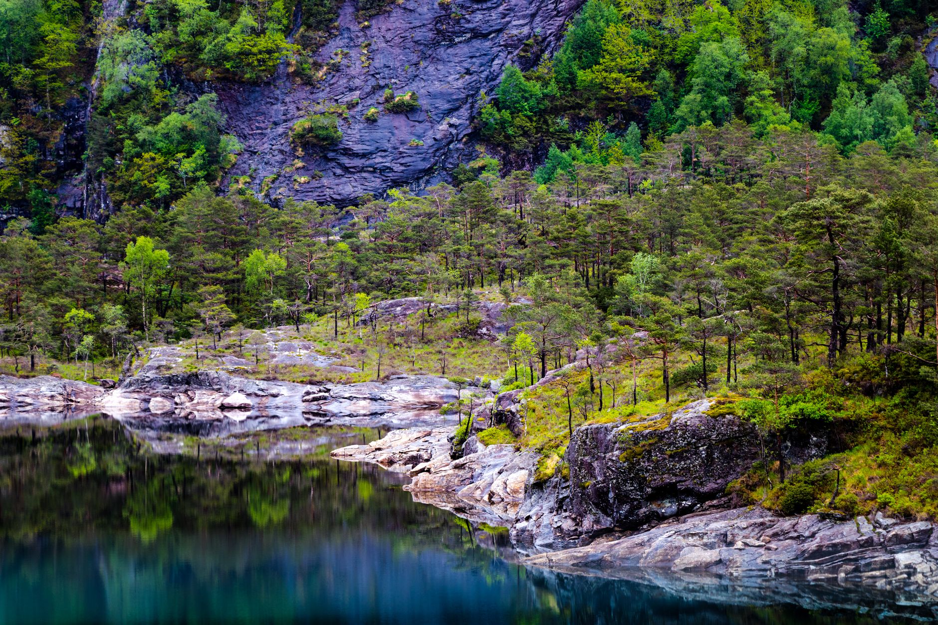 A lonely timber cabin reflecting in deep fjord waters