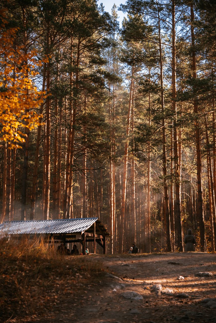 Writers retreat and architecture cabin